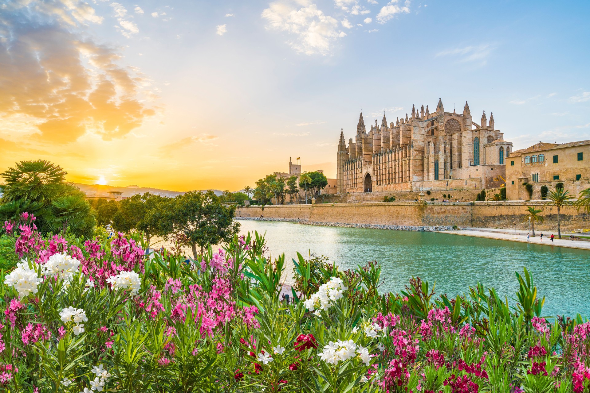 Cattedrale La Seu al momento sonoro, Isole Palma di Maiorca, Spagna